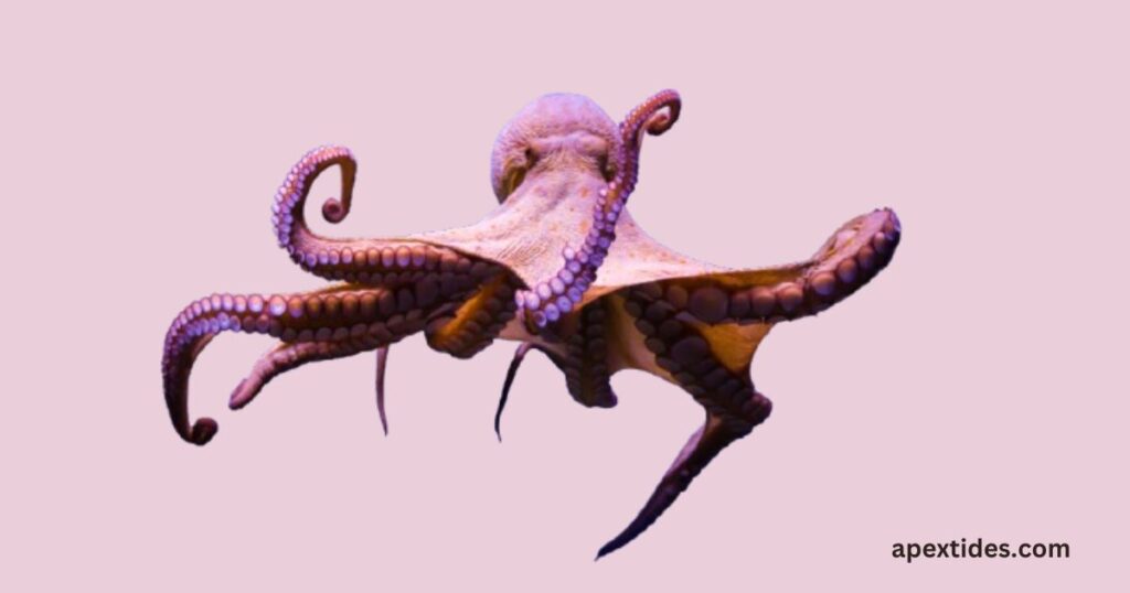 An octopus floats gracefully in the air against a vibrant pink background, embodying the theme of arm-yourself-with-these-tentacle-ating-jokes.